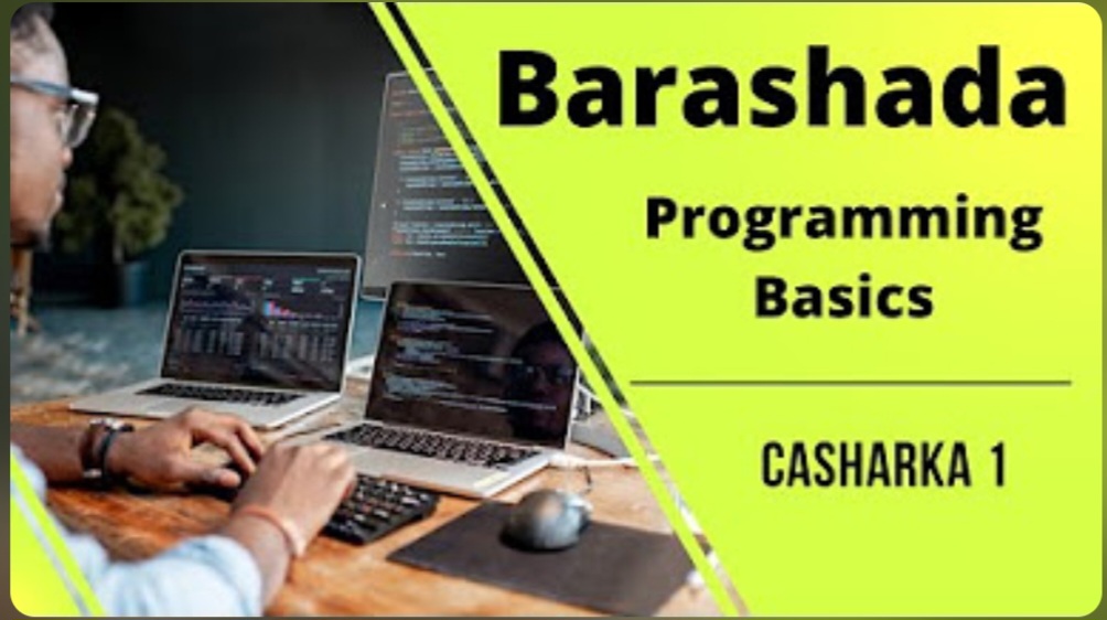 Barashada programming 